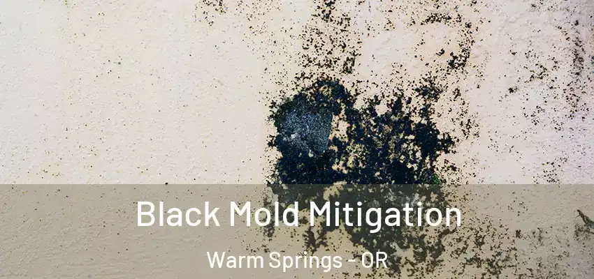  Black Mold Mitigation Warm Springs - OR