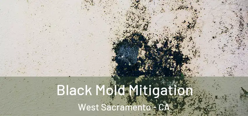  Black Mold Mitigation West Sacramento - CA