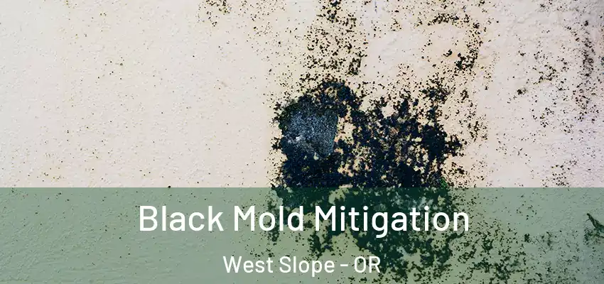 Black Mold Mitigation West Slope - OR