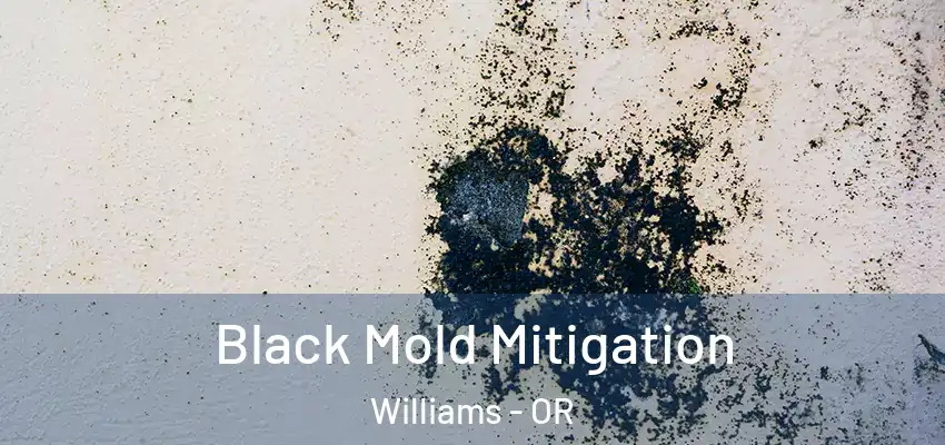  Black Mold Mitigation Williams - OR