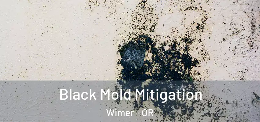  Black Mold Mitigation Wimer - OR