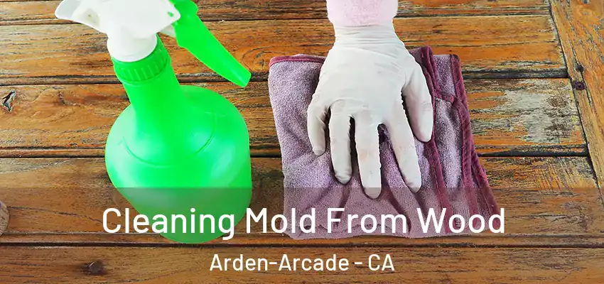  Cleaning Mold From Wood Arden-Arcade - CA