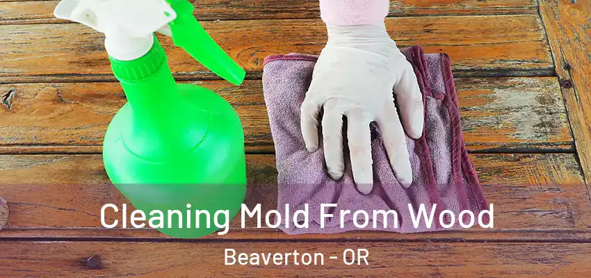  Cleaning Mold From Wood Beaverton - OR