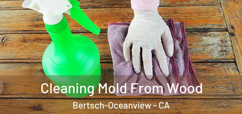  Cleaning Mold From Wood Bertsch-Oceanview - CA
