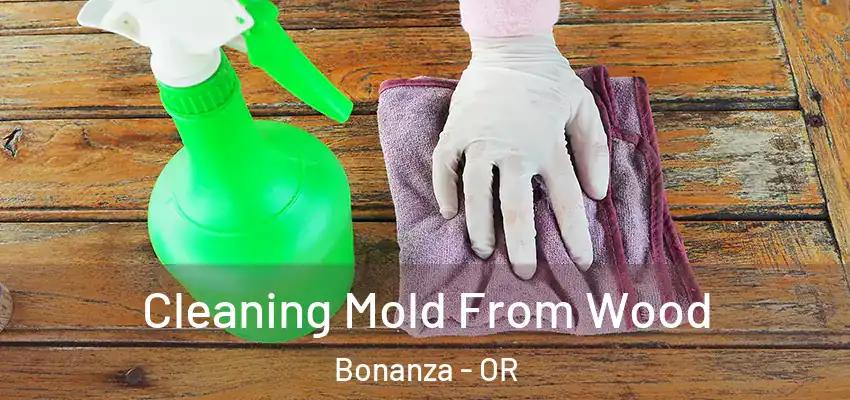 Cleaning Mold From Wood Bonanza - OR