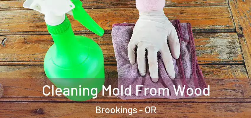  Cleaning Mold From Wood Brookings - OR