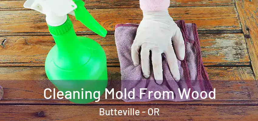  Cleaning Mold From Wood Butteville - OR