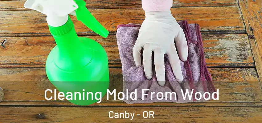  Cleaning Mold From Wood Canby - OR