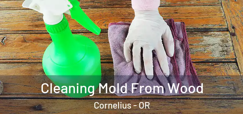  Cleaning Mold From Wood Cornelius - OR