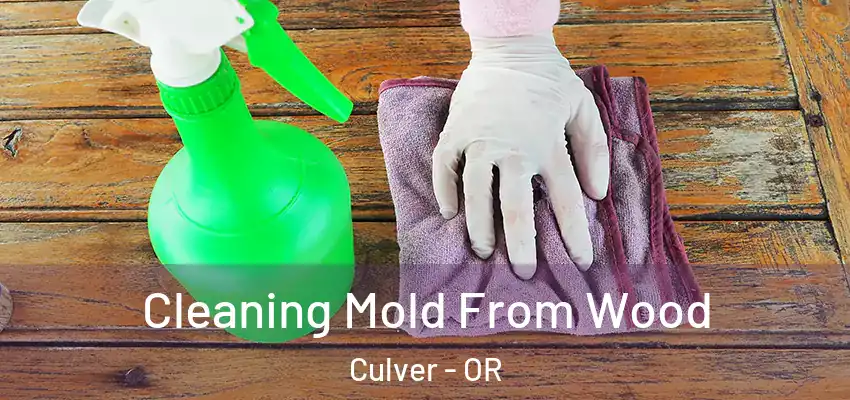  Cleaning Mold From Wood Culver - OR