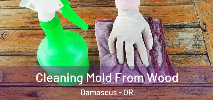  Cleaning Mold From Wood Damascus - OR