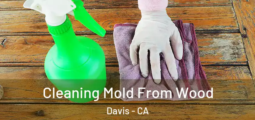  Cleaning Mold From Wood Davis - CA