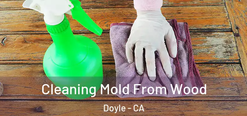  Cleaning Mold From Wood Doyle - CA