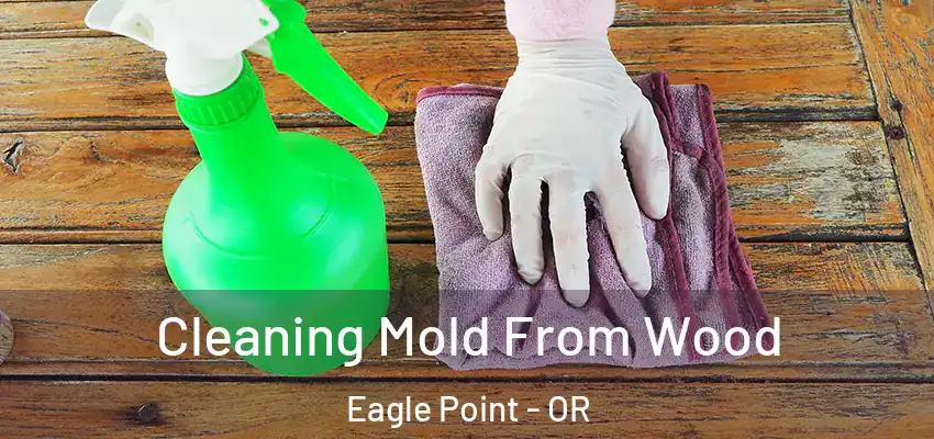  Cleaning Mold From Wood Eagle Point - OR