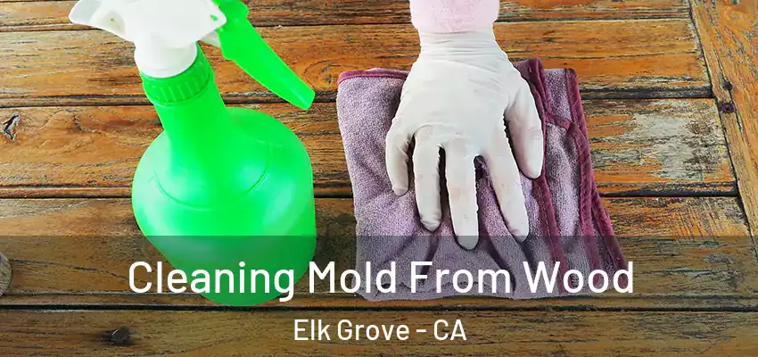  Cleaning Mold From Wood Elk Grove - CA
