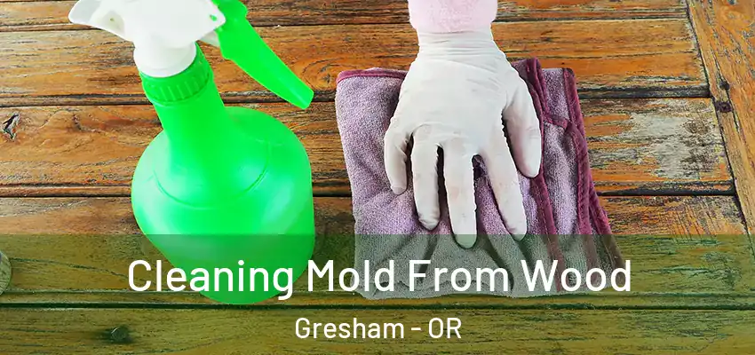  Cleaning Mold From Wood Gresham - OR