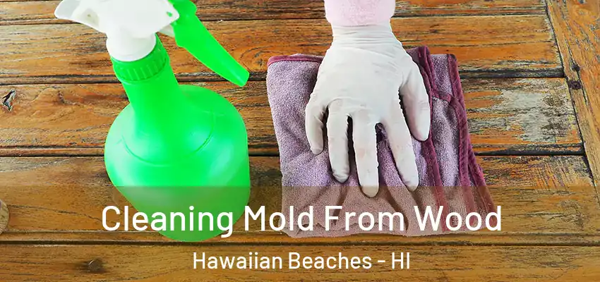  Cleaning Mold From Wood Hawaiian Beaches - HI