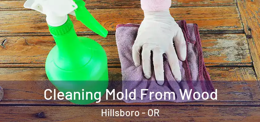  Cleaning Mold From Wood Hillsboro - OR