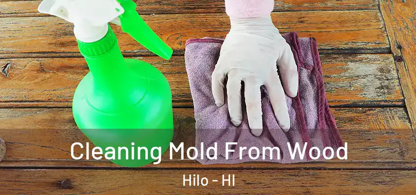 Cleaning Mold From Wood Hilo - HI