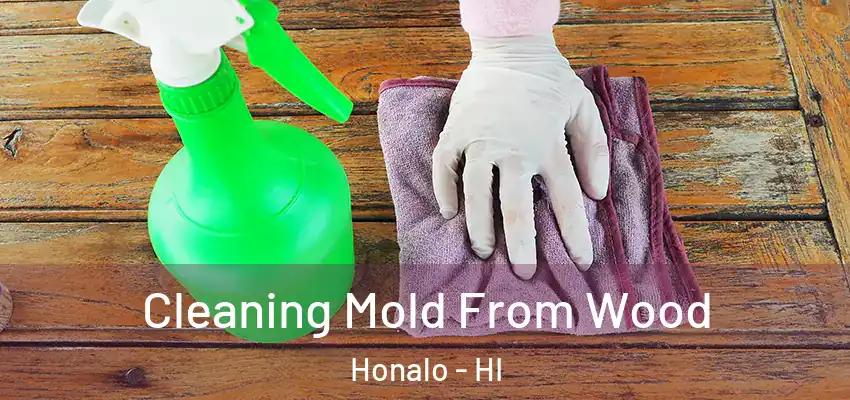  Cleaning Mold From Wood Honalo - HI
