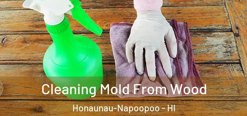  Cleaning Mold From Wood Honaunau-Napoopoo - HI