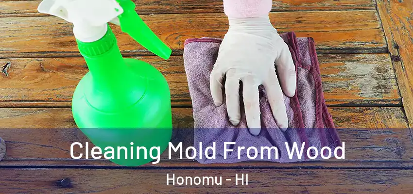  Cleaning Mold From Wood Honomu - HI