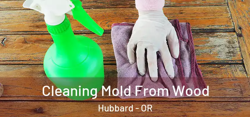Cleaning Mold From Wood Hubbard - OR