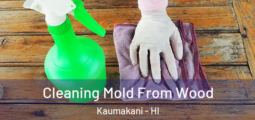  Cleaning Mold From Wood Kaumakani - HI