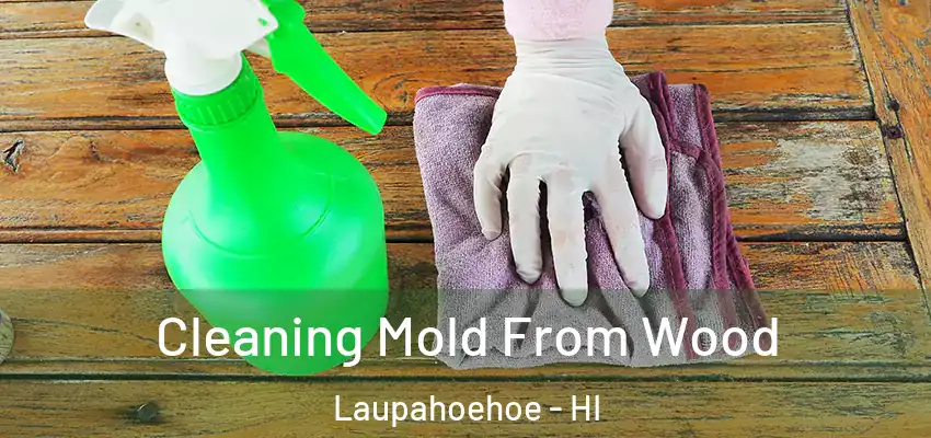  Cleaning Mold From Wood Laupahoehoe - HI