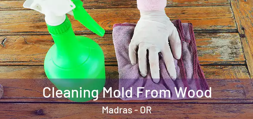  Cleaning Mold From Wood Madras - OR