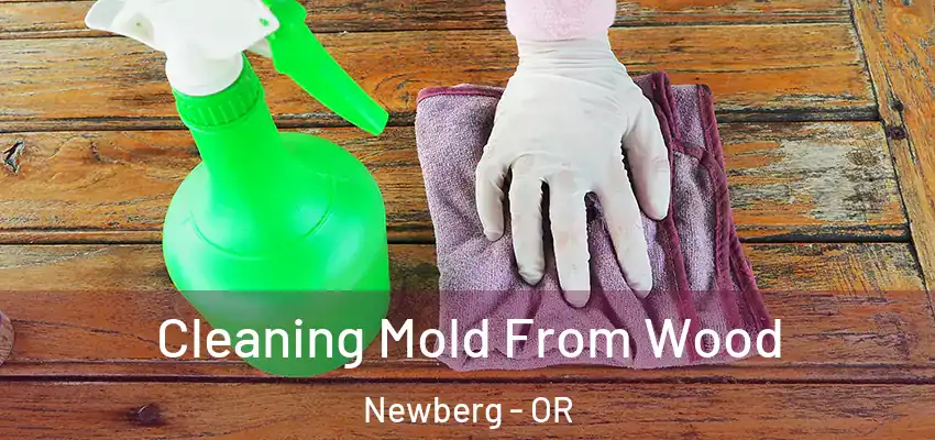  Cleaning Mold From Wood Newberg - OR