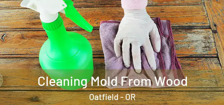  Cleaning Mold From Wood Oatfield - OR