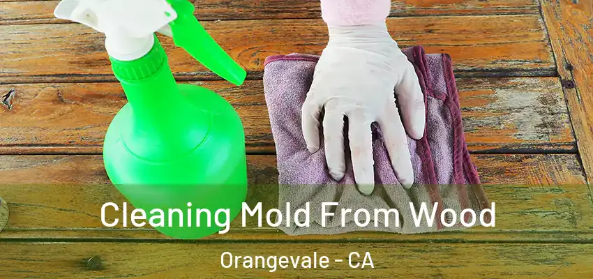  Cleaning Mold From Wood Orangevale - CA