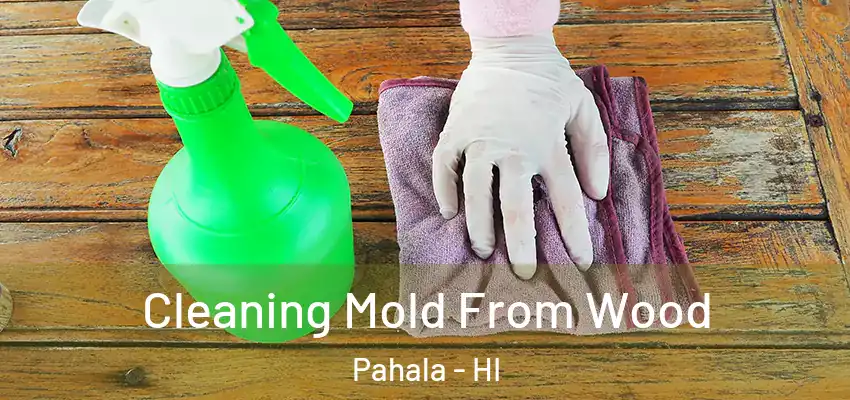  Cleaning Mold From Wood Pahala - HI