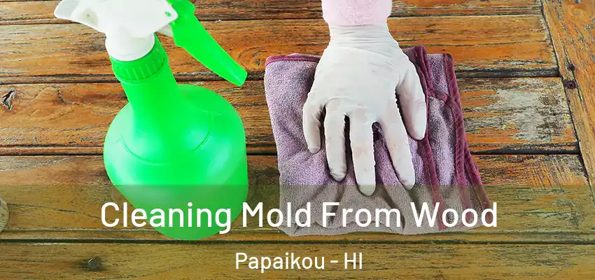  Cleaning Mold From Wood Papaikou - HI