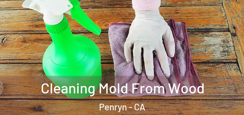  Cleaning Mold From Wood Penryn - CA