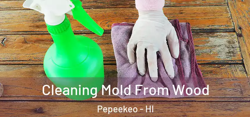  Cleaning Mold From Wood Pepeekeo - HI