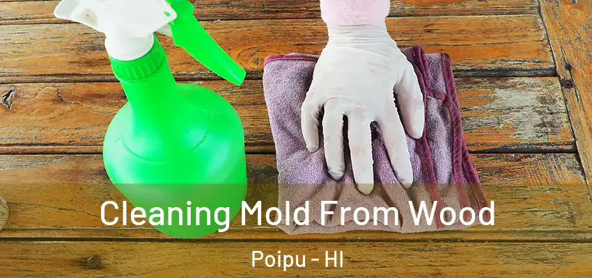  Cleaning Mold From Wood Poipu - HI