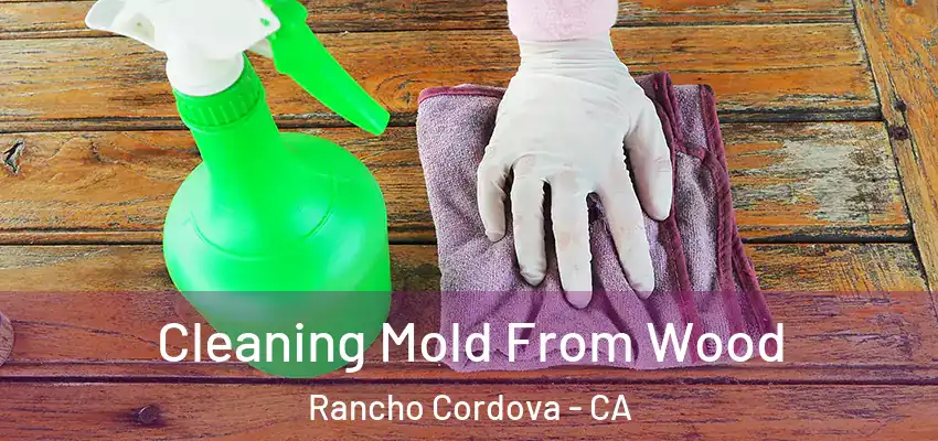  Cleaning Mold From Wood Rancho Cordova - CA