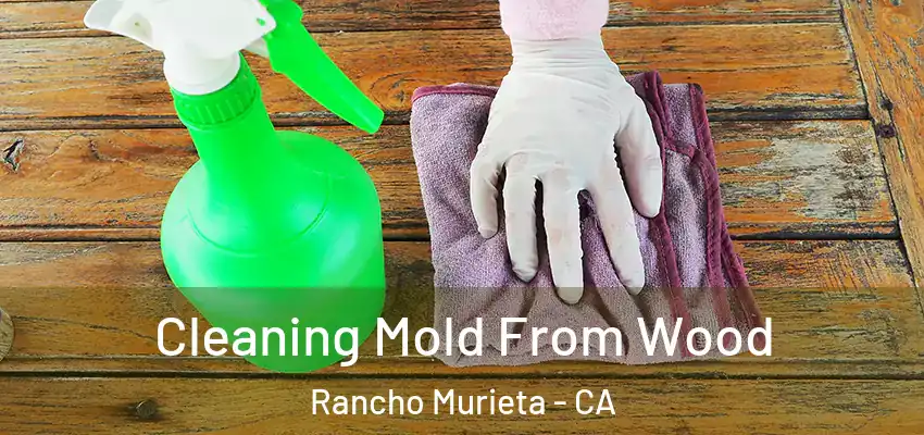  Cleaning Mold From Wood Rancho Murieta - CA