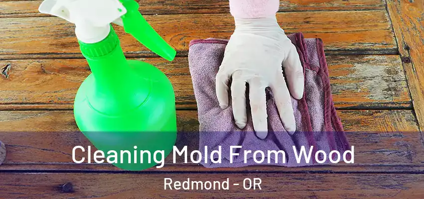 Cleaning Mold From Wood Redmond - OR