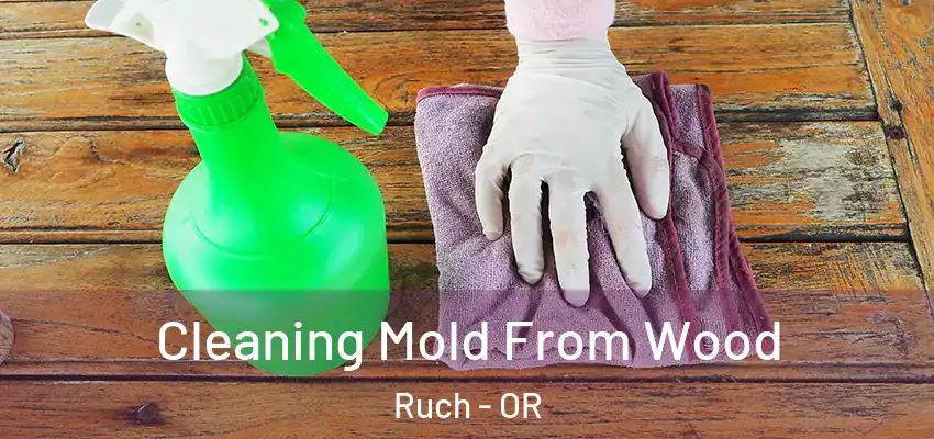  Cleaning Mold From Wood Ruch - OR