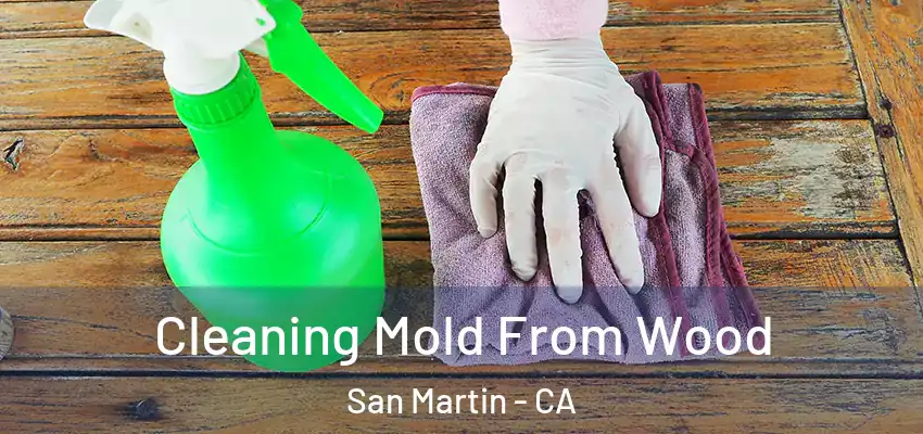  Cleaning Mold From Wood San Martin - CA