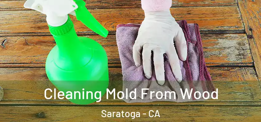  Cleaning Mold From Wood Saratoga - CA
