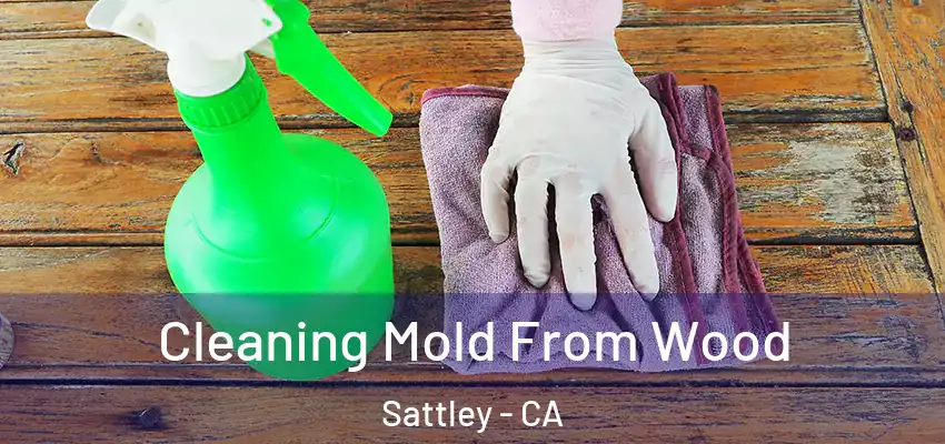 Cleaning Mold From Wood Sattley - CA