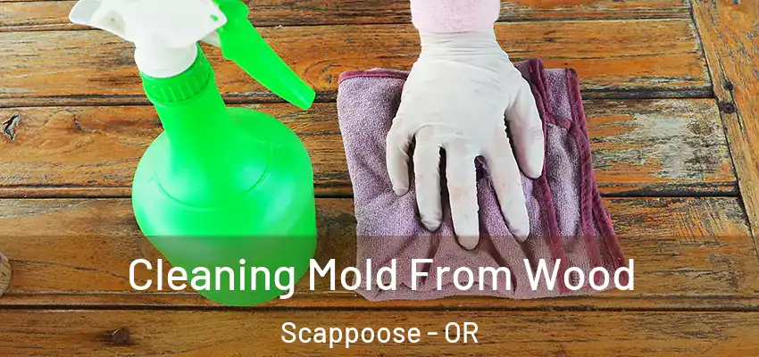  Cleaning Mold From Wood Scappoose - OR