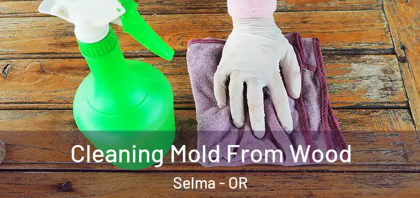  Cleaning Mold From Wood Selma - OR