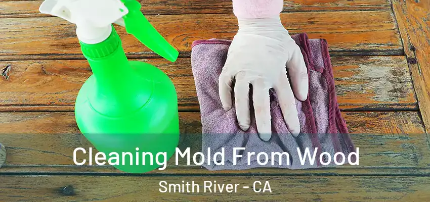  Cleaning Mold From Wood Smith River - CA