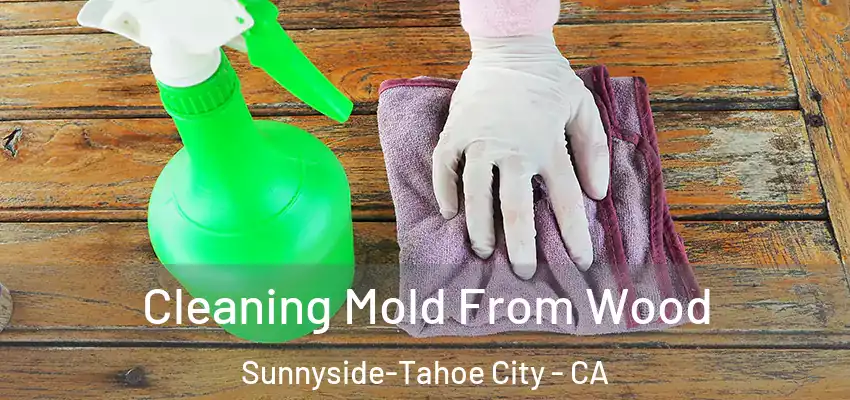  Cleaning Mold From Wood Sunnyside-Tahoe City - CA