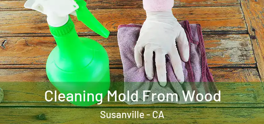 Cleaning Mold From Wood Susanville - CA